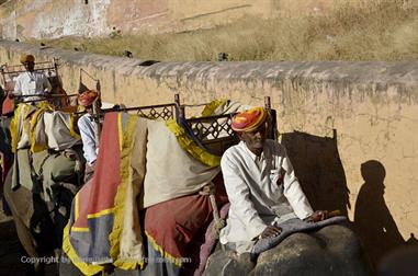 04 Fort_Amber_and Elephants,_Jaipur_DSC5005_b_H600
